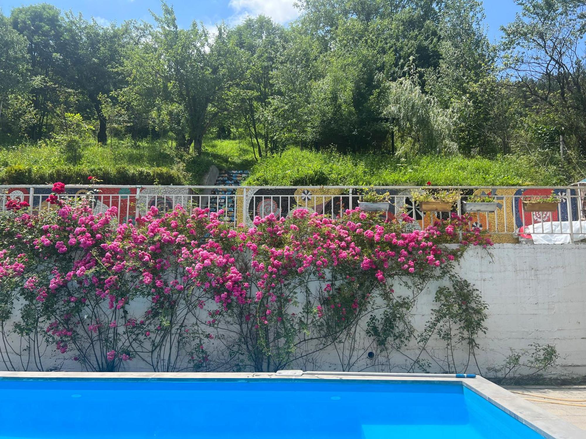 Вілла Dilijan Duplex Екстер'єр фото