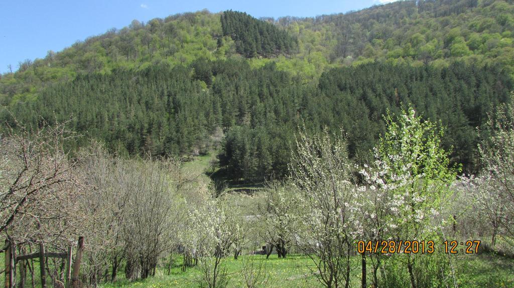 Вілла Dilijan Duplex Екстер'єр фото